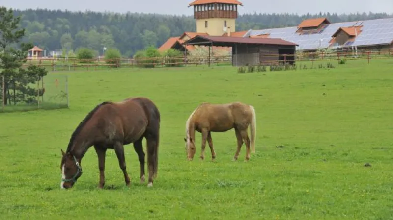 Krach Farmy Bolka Polívky tématem Událostí
