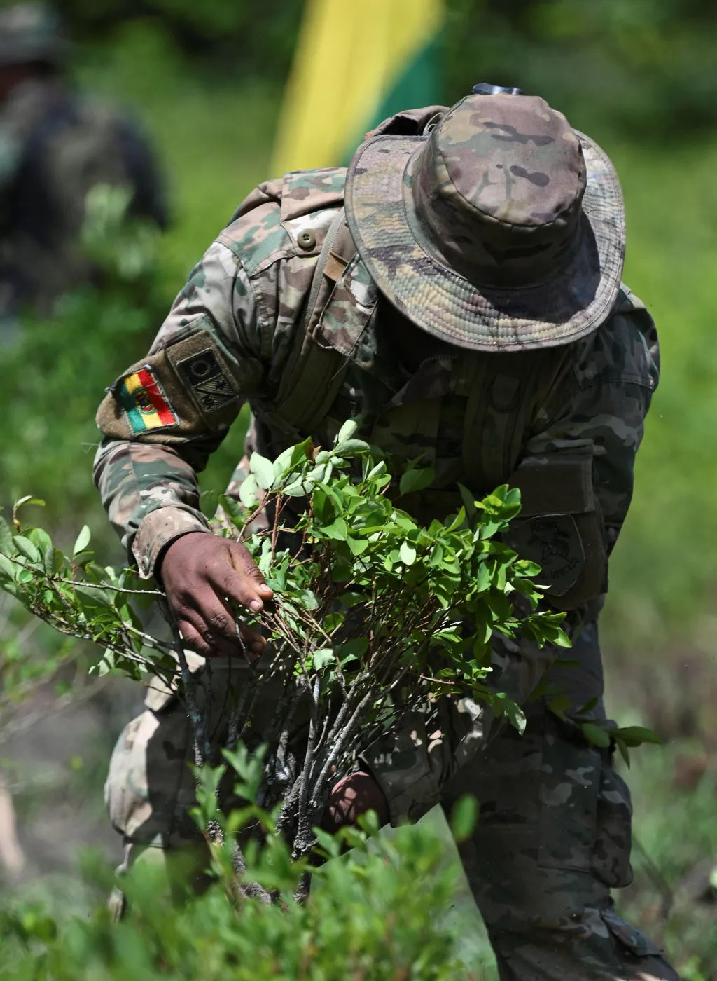 Bolivijští vojáci ničí rostliny koky