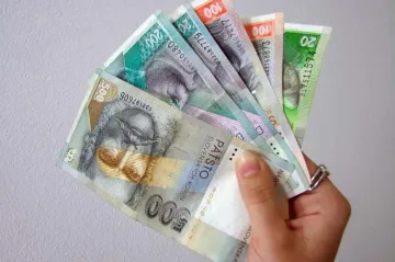 Slovenská koruna počítá poslední hodiny