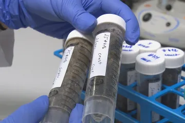V Brně vyvíjejí nová antibiotika z organismů z Antarktidy