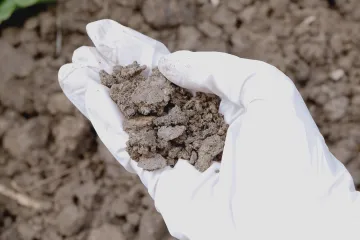 Koupili pozemky, zjistili, že jsou zamořené. Teď chtějí od obce zpět peníze