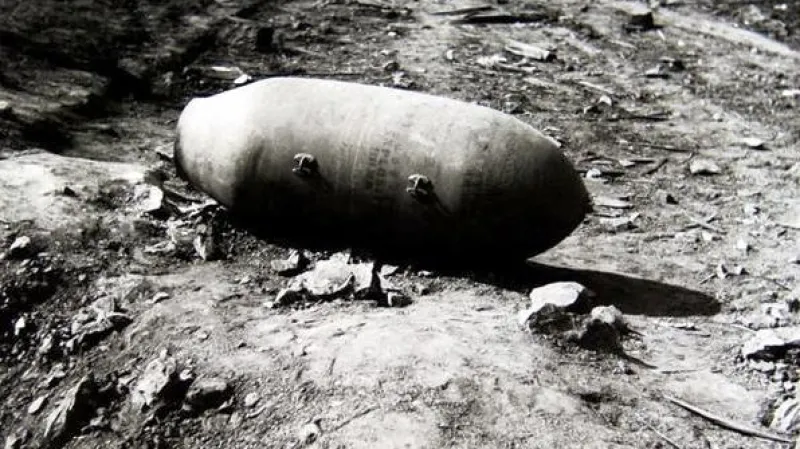 Americká puma o hmotnosti 250 kg