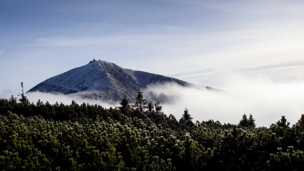 Sněžka