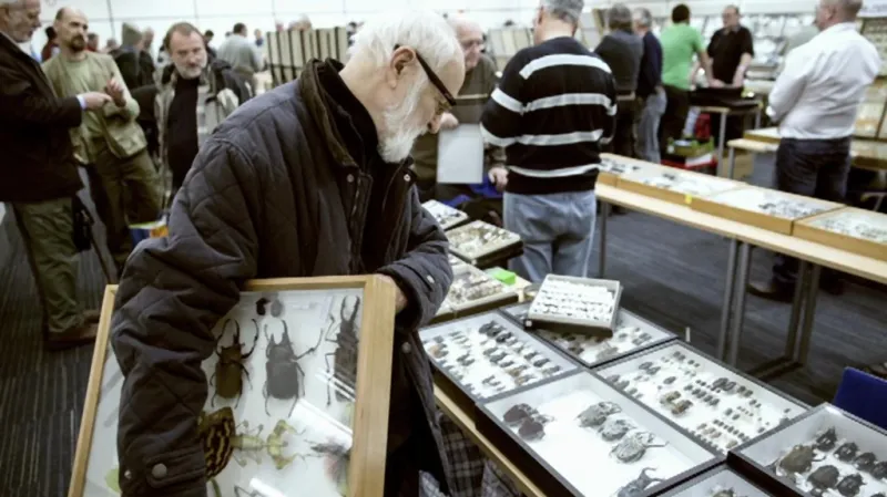 Jan Švankmajer vybírá brouky pro svůj film Hmyz