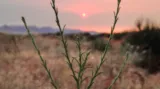 Západ slunce v Monument Valley