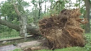Střední Polsko zasáhla silná bouře