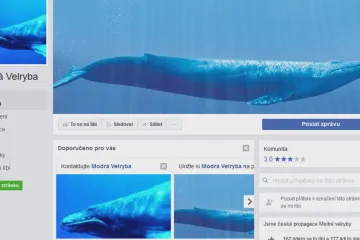 Modrá velryba je zde, ale sebevraždu zatím nezpůsobila, věří policie