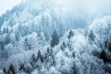 O víkendu může sněžit, od pondělí v noci mrznout