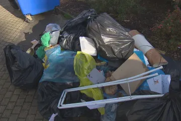 Strážníky v Plzni zaměstnávají černé skládky. Město za jejich likvidaci utrácí miliony