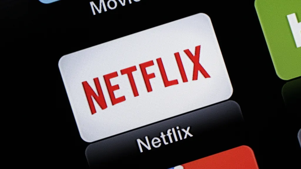 Internetová videopůjčovna a televize Netflix