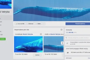 Policie se přestala zabývat Modrou velrybou, před kterou varovala