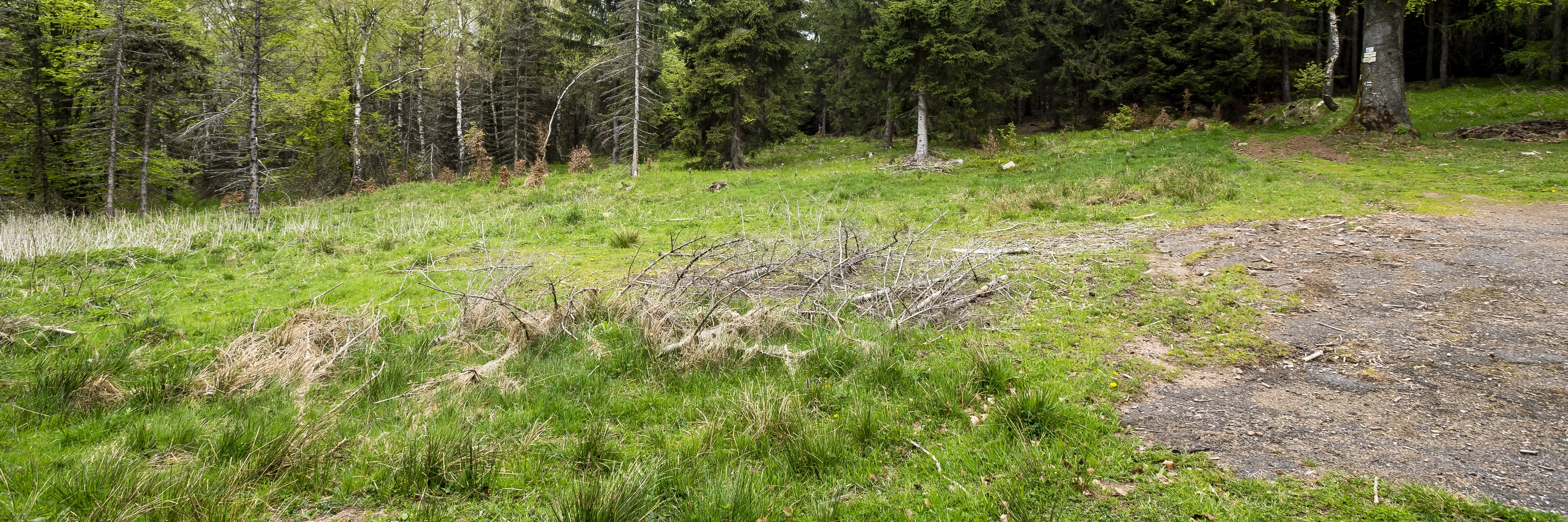 Těžbě lithia na Cínovci nestojí nic v cestě, uvádí studie