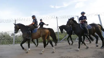 Maďarská policie kontroluje plot na hranici se Srbskem