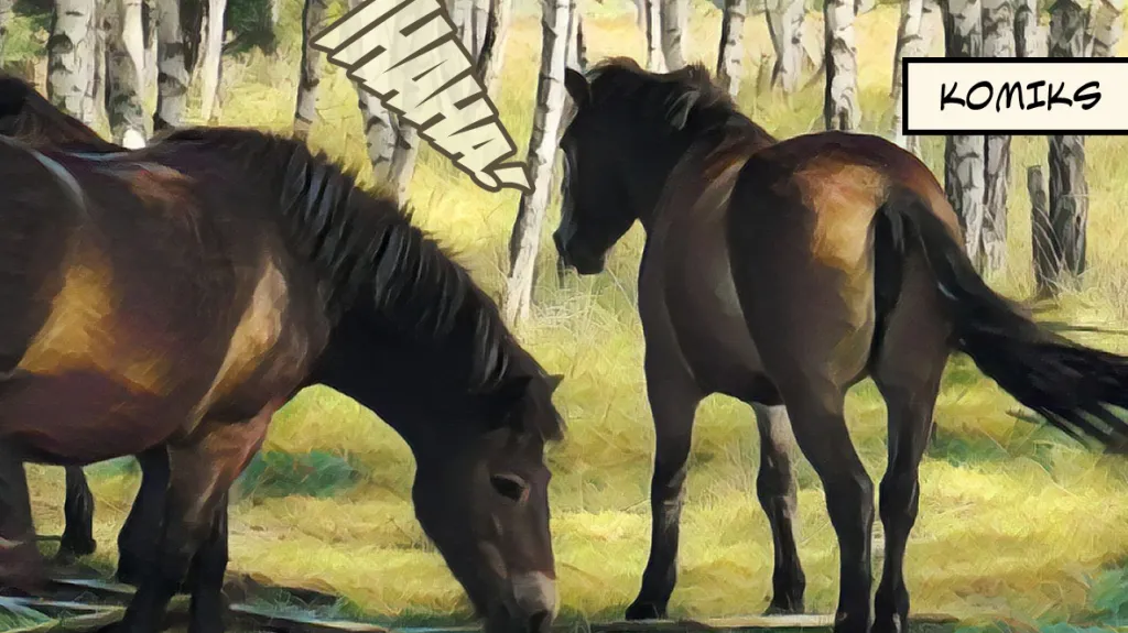 Kampaň k podpoře ochrany klimatu