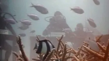 Maledivská vláda zasedala pod vodou