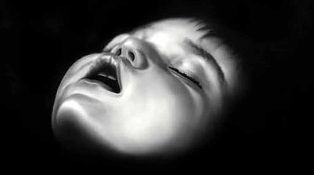 Robert Longo / Bez názvu (Jane)
