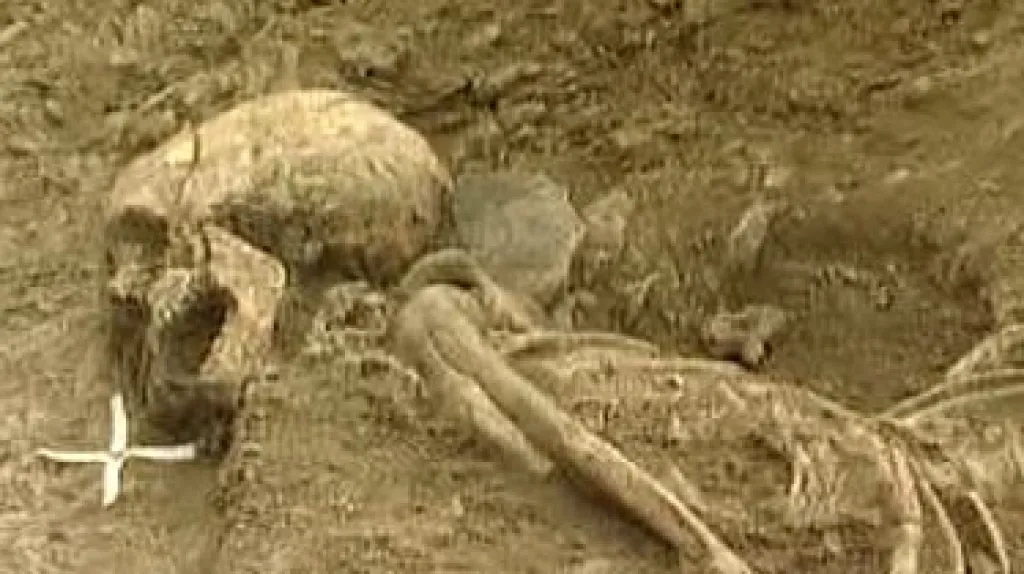Kostra člověka