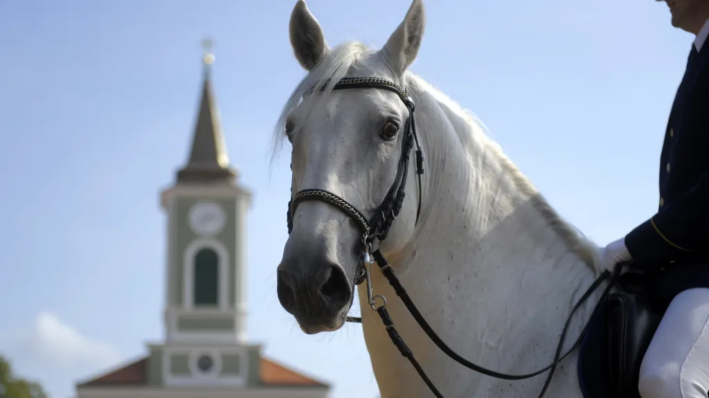 Hřebčín v Kladrubech