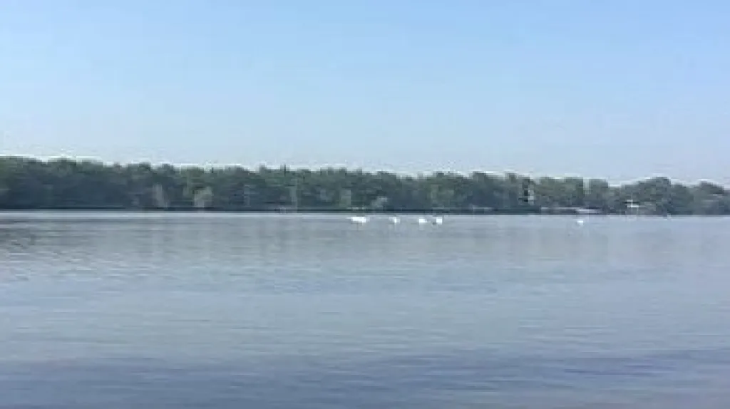 Vrbenské rybníky na Českobudějovicku