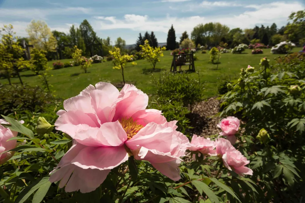 Botanická zahrada hl. m. Prahy slaví 50 let