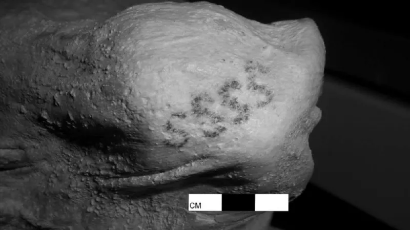 Nejstarší tetování světa