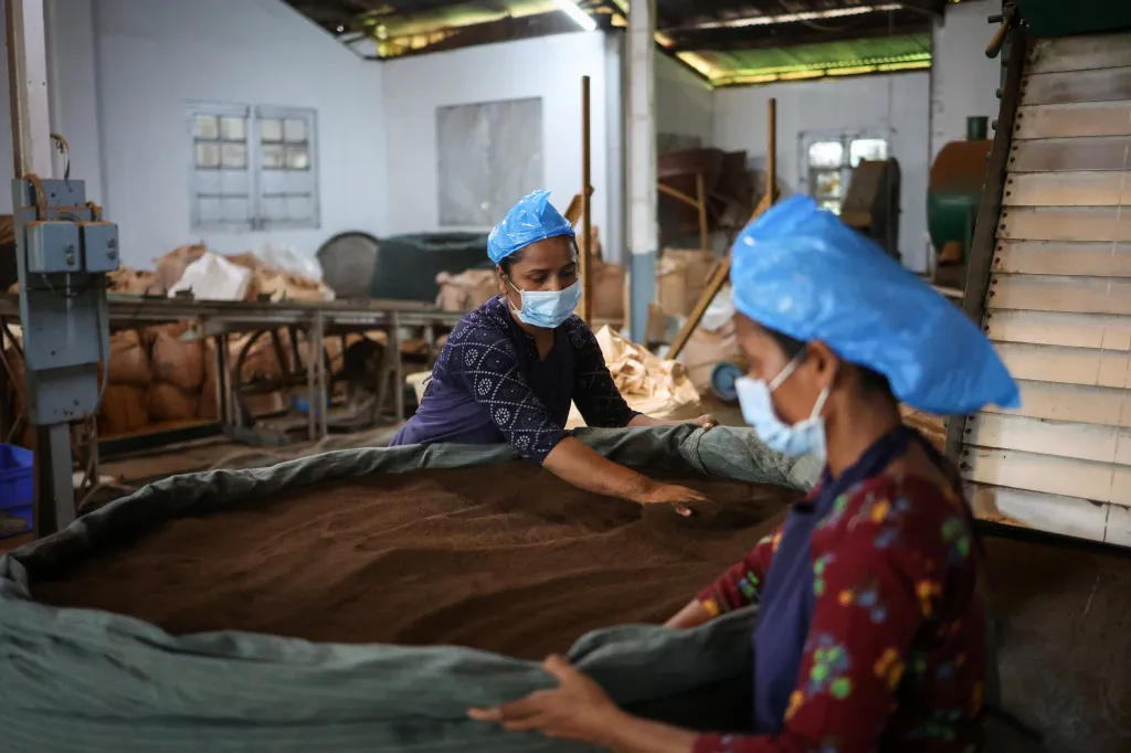 Zatímco export kvalitního čaje v posledních letech klesá, indický dovoz roste – v roce 2024 se téměř zdvojnásobil na rekordních 45,3 milionu kilogramů. To podle zástupců předních indických obchodníků zvyšuje náklady pro zahraniční odběratele, a to v době, kdy podobné problémy řeší i globální konkurenti, například Keňa