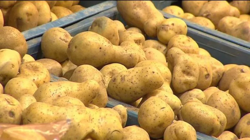 Ovoce a zelenina z Česka mírně podraží