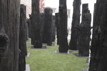 Les civilizací v Ósace zaujal, ukazuje prastaré duby ze severní Moravy