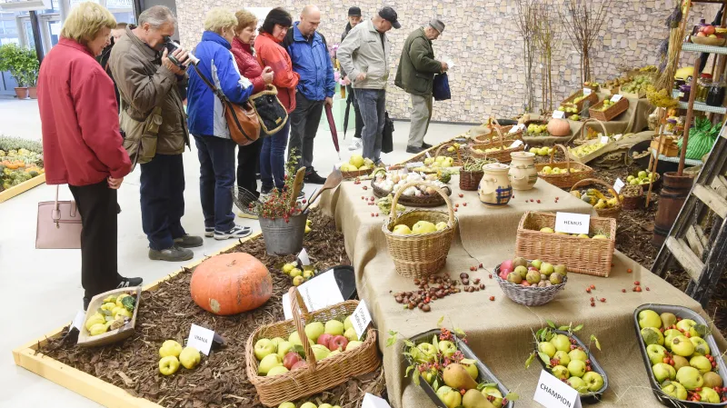 Podzimní olomoucká Flora 2016