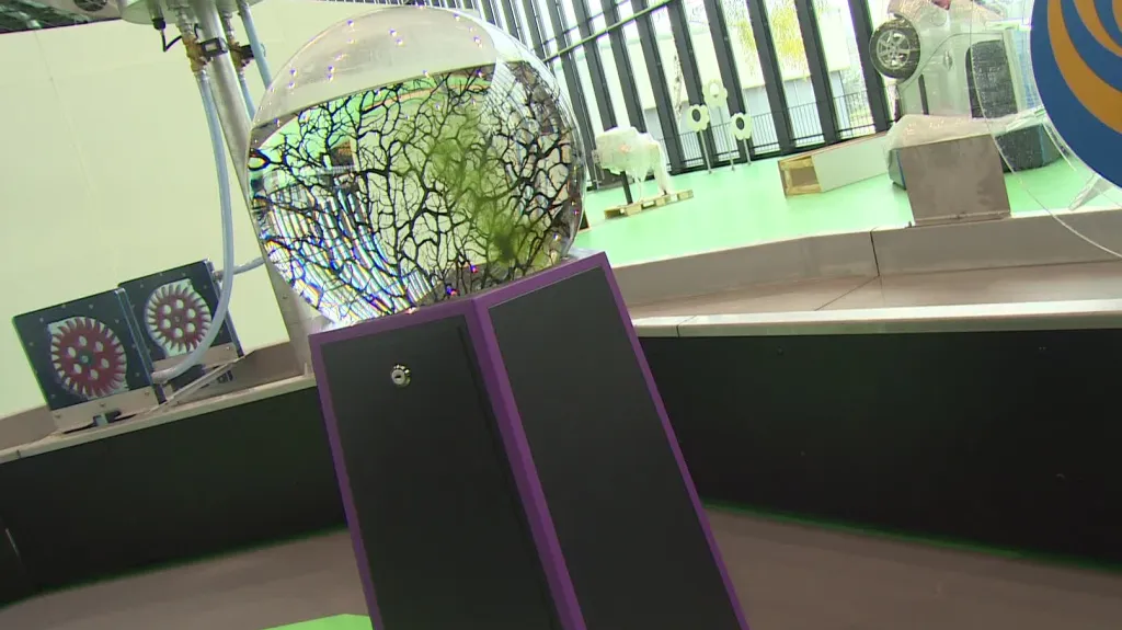 Vědecko-zábavní park Vida!