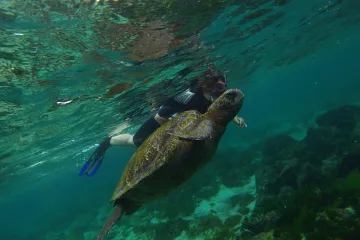 Čínští rybáři krouží kolem Galapág. Ekvádor je odhodlán tamní rezervaci hájit