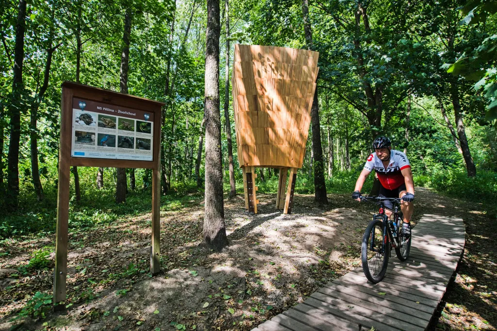 Cyklista projíždí kolem objektů
