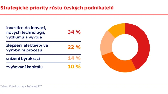 Strategické priority růstu českých podnikatelů