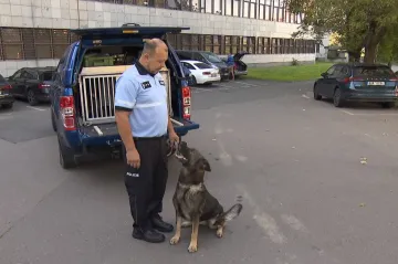 Psi našli ostatky 44 metrů pod hladinou. Policie i díky tomu obvinila muže z vraždy partnerky 
