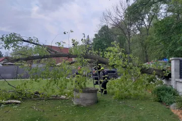 Silný vítr lámal stromy. Ty zastavily vlaky z Prahy mezi Čerčany a Benešovem