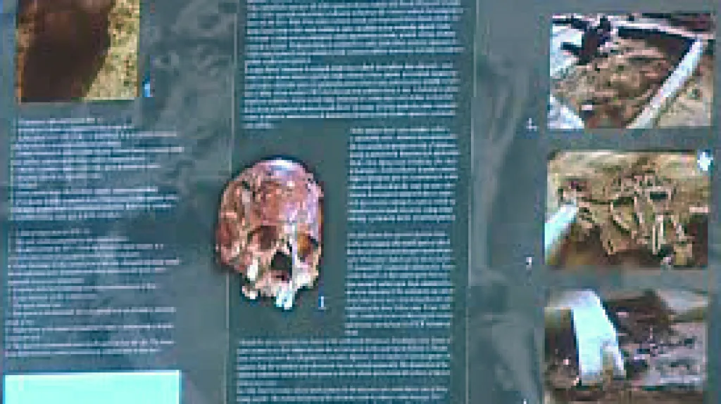 Archeologické nálezy v Dolních Věstonicích
