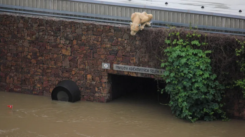 Zatopený pavilon šelem