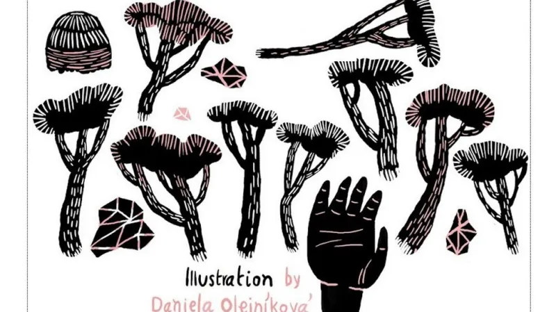 Tabook / Daniela Olejníková