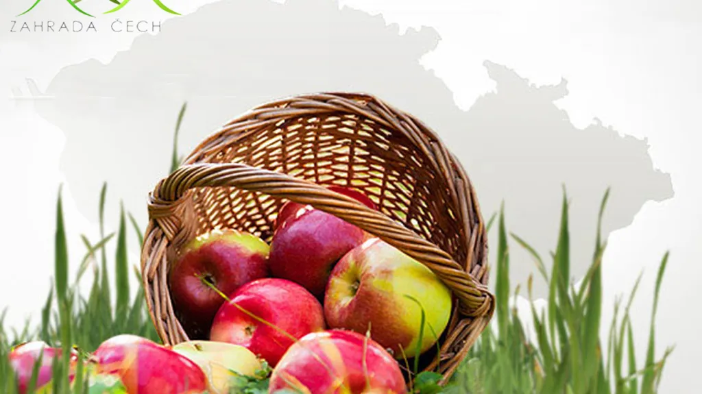 Zahrada Čech