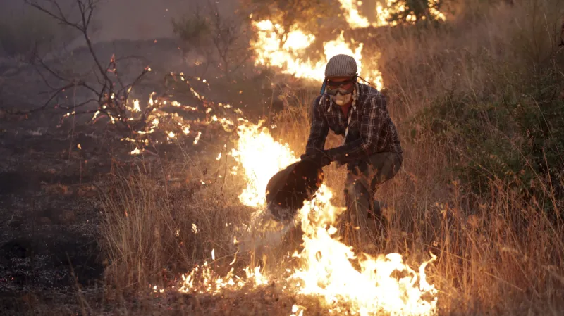 Požár v Portugalsku