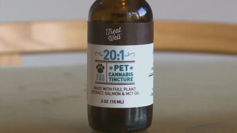 Léky s marihuanou pro zvířata