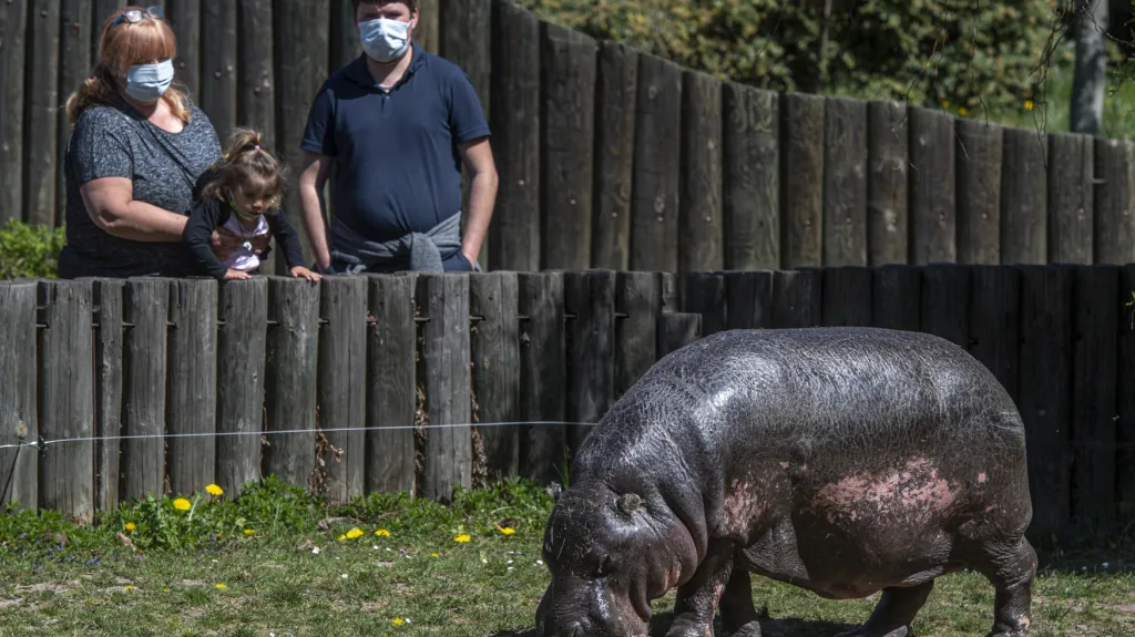 Návštěvníci v Safari Parku Dvůr Králové
