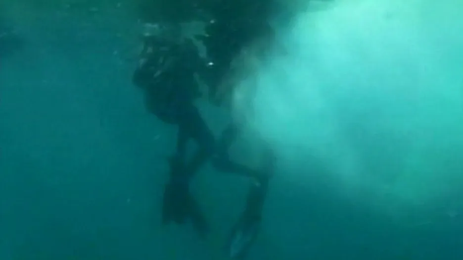 Mexičtí potápěči osvobozují keporkaka