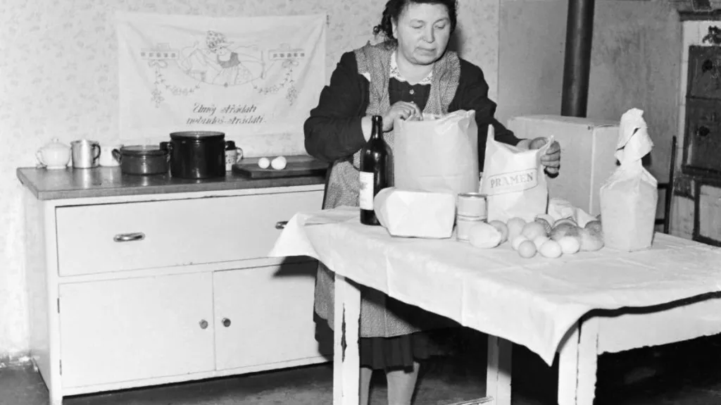 Donášková služba pro pracující ženy (50. léta)