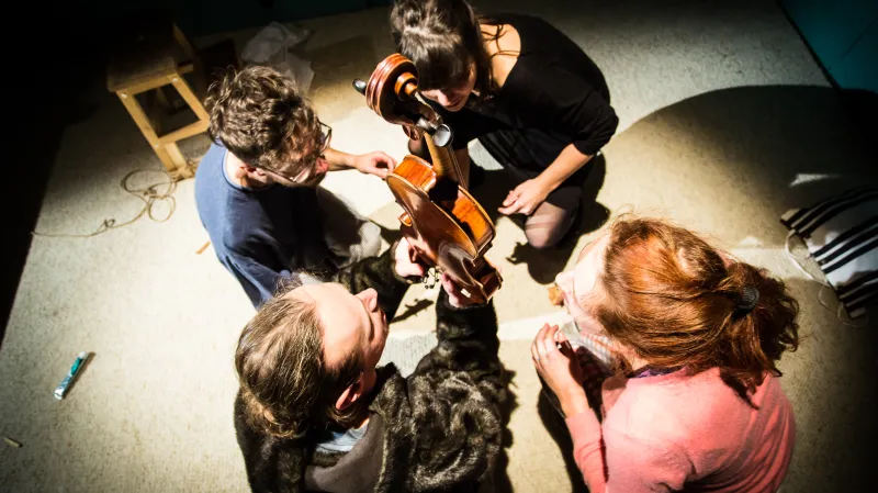 Na Ostrově Štvanice porostou housle