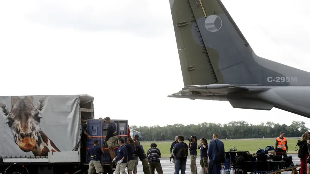 Čtvrtý transport koní Převalského