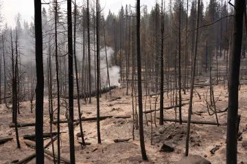 Požár v Oregonu je tak rozsáhlý, že ovlivňuje počasí. Úřady žádají o pomoc