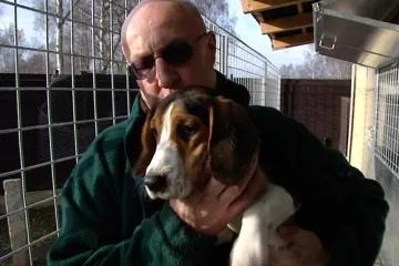 Opuštěných psů na západě Čech přibývá, útulky hlásí plno