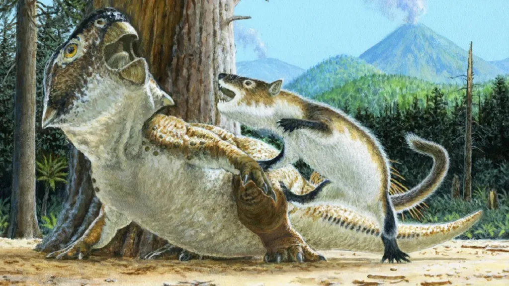 Repenomamus útočí na psittacosaura