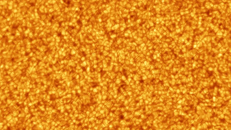 Liquid Sunshine © Alexandra Hart